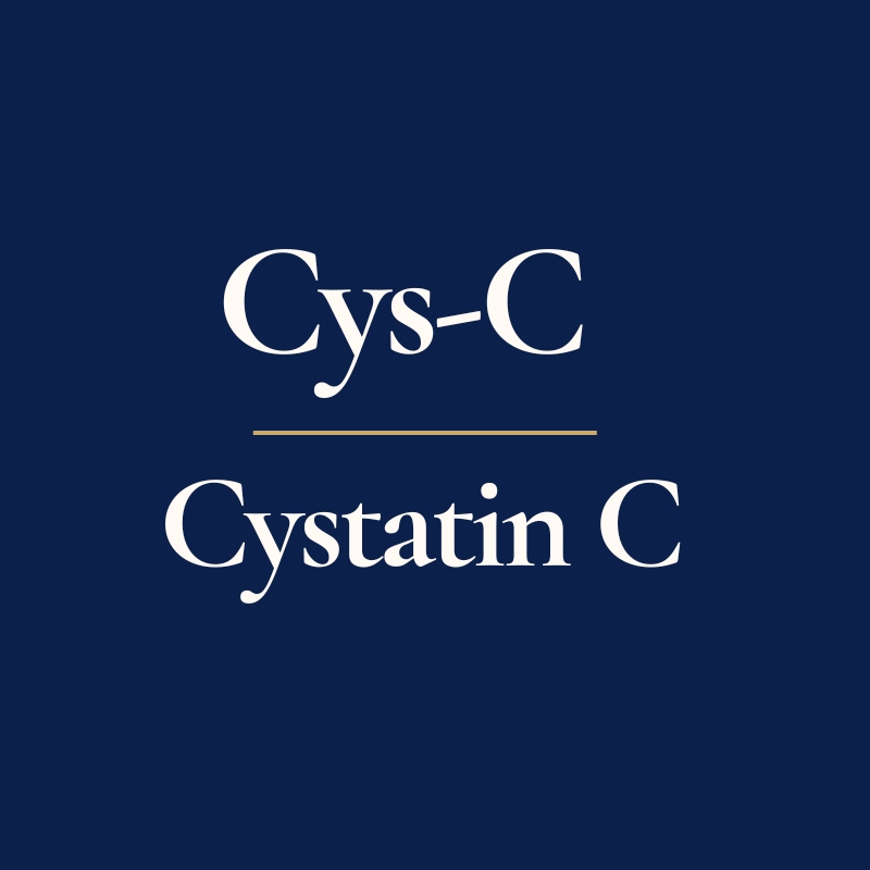 Cystatin C Blood Test
